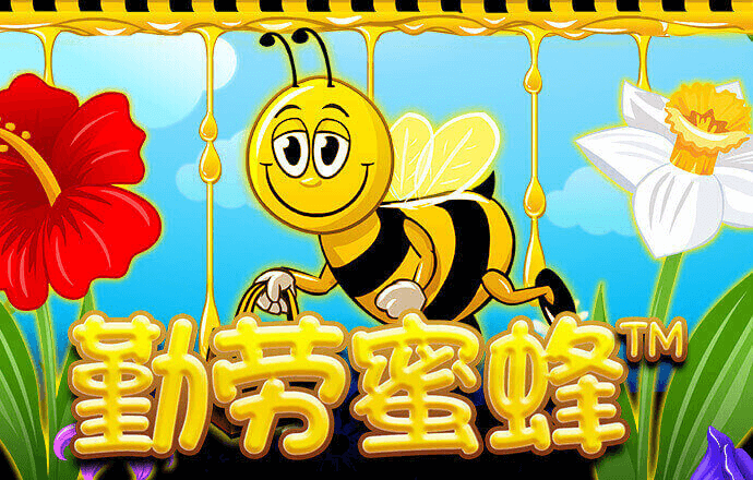 55世纪平台登陆